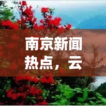 南京新闻热点,云海现象引发热议