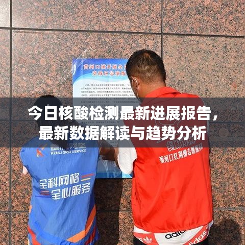 今日核酸检测最新进展报告，最新数据解读与趋势分析