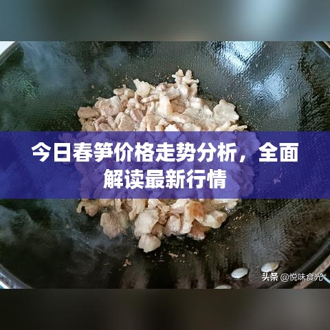 今日春笋价格走势分析,全面解读最新行情