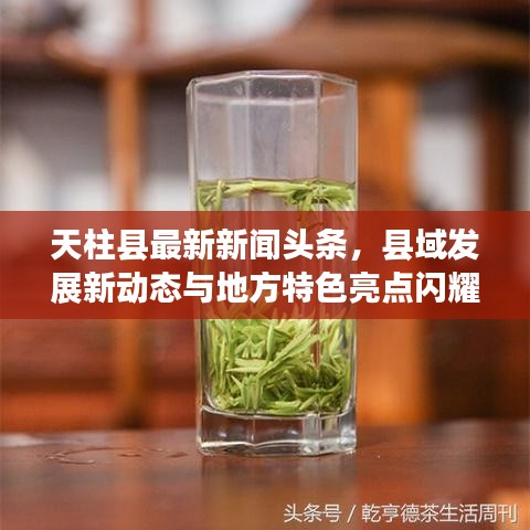 天柱县最新新闻头条,县域发展新动态与地方特色亮点闪耀登场