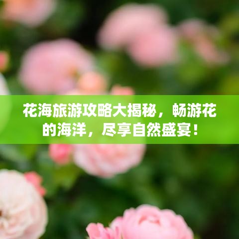 花海旅游攻略大揭秘,畅游花的海洋,尽享自然盛宴!