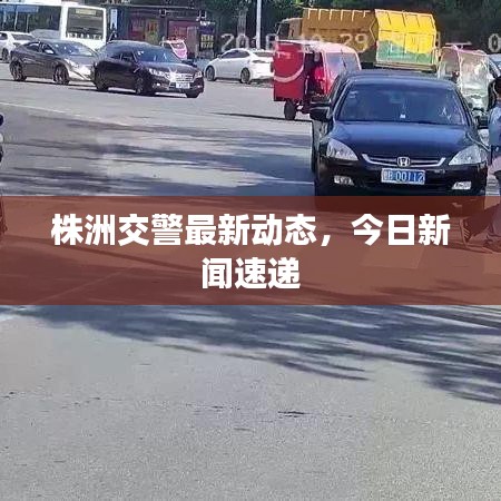 株洲交警最新动态，今日新闻速递