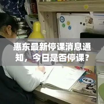惠东最新停课消息通知,今日是否停课?最新消息一览!