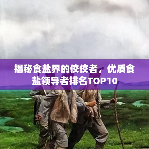 揭秘食盐界的佼佼者,优质食盐领导者排名TOP10