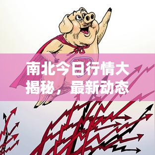 南北今日行情大揭秘,最新动态一网打尽
