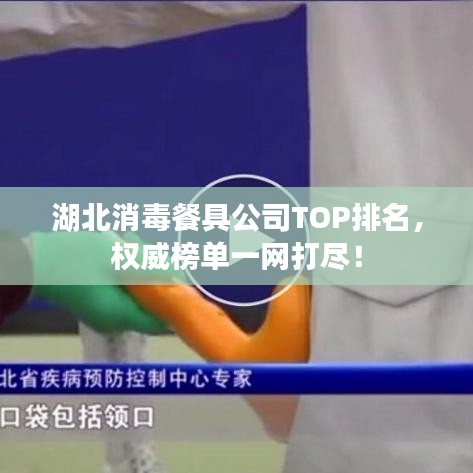 湖北消毒餐具公司TOP排名,权威榜单一网打尽!