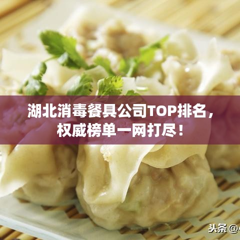 湖北消毒餐具公司TOP排名,权威榜单一网打尽!