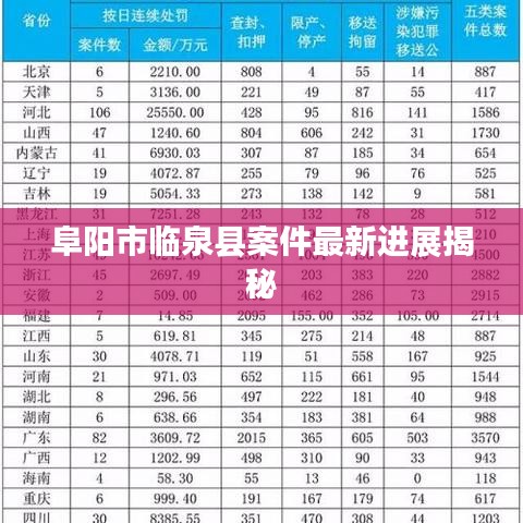 阜阳市临泉县案件最新进展揭秘