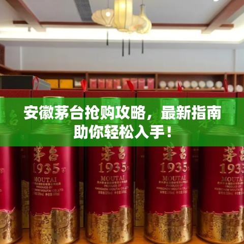 安徽茅台抢购攻略，最新指南助你轻松入手！