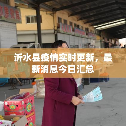 沂水县疫情实时更新,最新消息今日汇总
