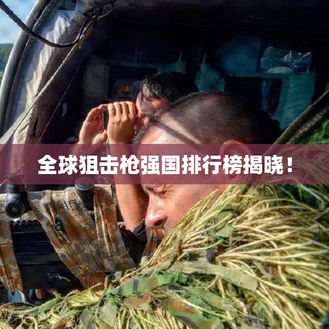 全球狙击枪强国排行榜揭晓!