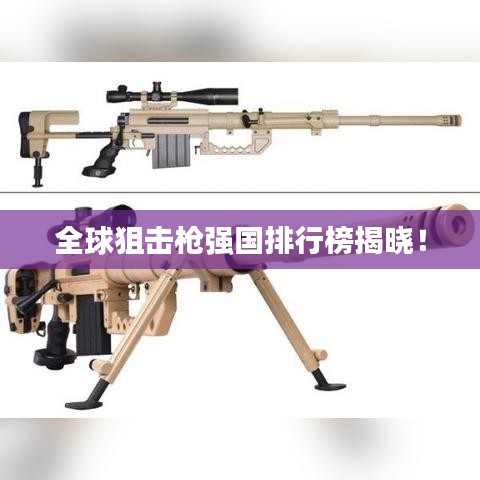 全球狙击枪强国排行榜揭晓!