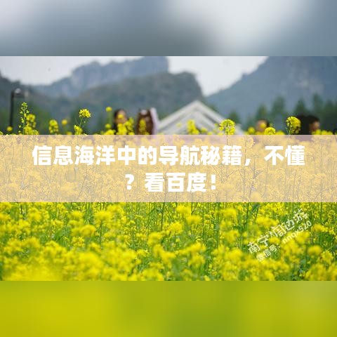 信息海洋中的导航秘籍,不懂?看百度!