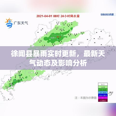 徐闻县暴雨实时更新,最新天气动态及影响分析
