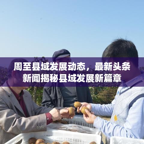 周至县域发展动态,最新头条新闻揭秘县域发展新篇章