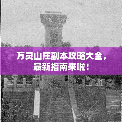 万灵山庄副本攻略大全,最新指南来啦!