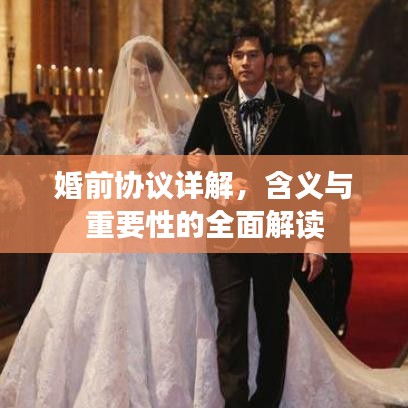 婚前协议详解,含义与重要性的全面解读