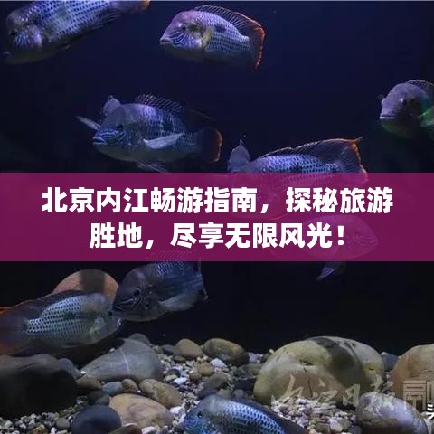 北京内江畅游指南,探秘旅游胜地,尽享无限风光!