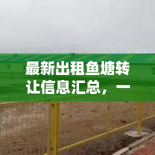 最新出租鱼塘转让信息汇总,一站式查询,满足您的需求!