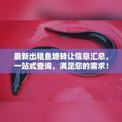 最新出租鱼塘转让信息汇总,一站式查询,满足您的需求!