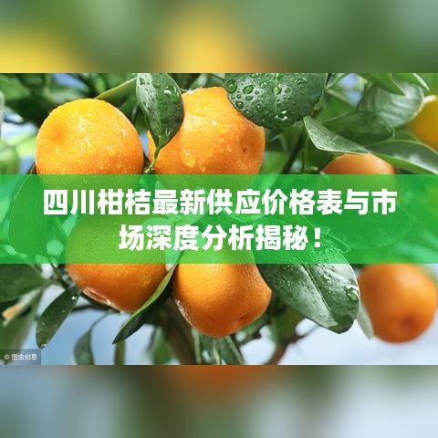 四川柑桔最新供应价格表与市场深度分析揭秘!