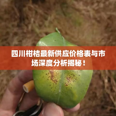 四川柑桔最新供应价格表与市场深度分析揭秘!