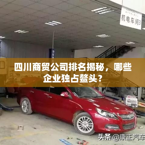 四川商贸公司排名揭秘,哪些企业独占鳌头?