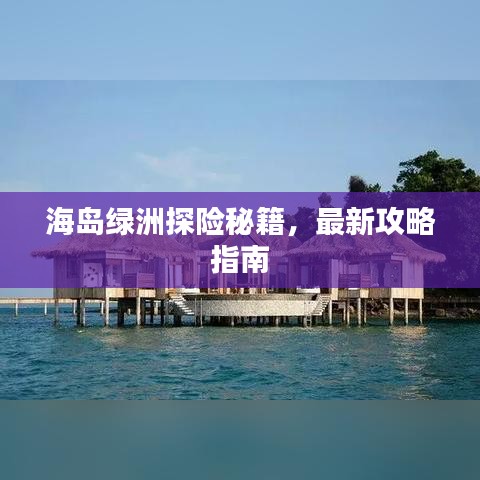 海岛绿洲探险秘籍,最新攻略指南