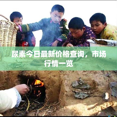 尿素今日最新价格查询,市场行情一览