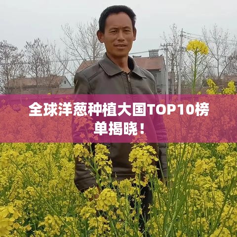 全球洋葱种植大国TOP10榜单揭晓！