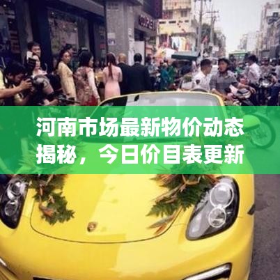 河南市场最新物价动态揭秘,今日价目表更新消息