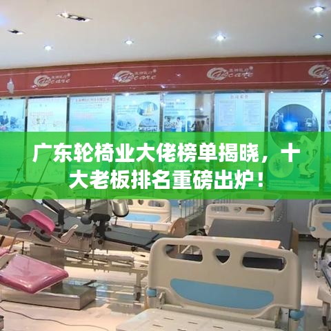 广东轮椅业大佬榜单揭晓,十大老板排名重磅出炉!