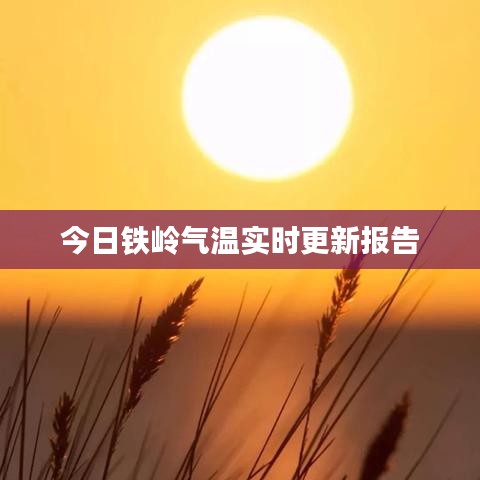 随方就圆 第4页