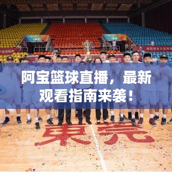 阿宝篮球直播,最新观看指南来袭!