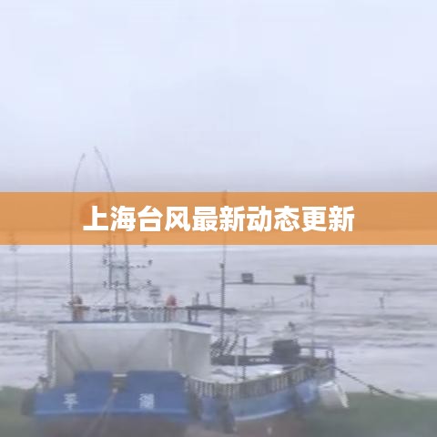 上海台风最新动态更新