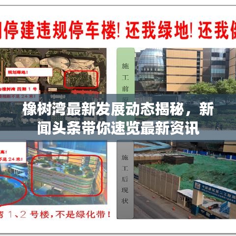 橡树湾最新发展动态揭秘，新闻头条带你速览最新资讯