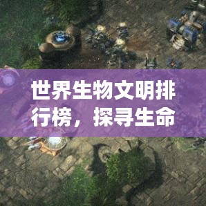 世界生物文明排行榜,探寻生命多样性的星际之旅
