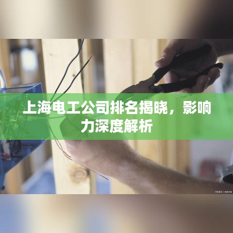 上海电工公司排名揭晓,影响力深度解析