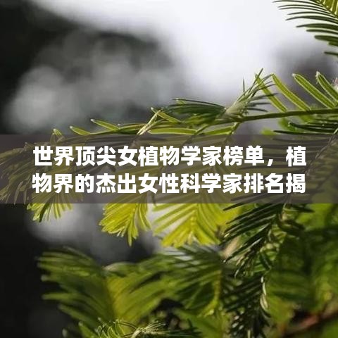 临危不惧 第4页