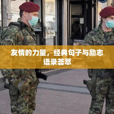 友情的力量,经典句子与励志语录荟萃