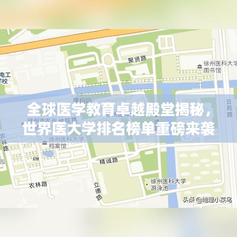 全球医学教育卓越殿堂揭秘,世界医大学排名榜单重磅来袭!