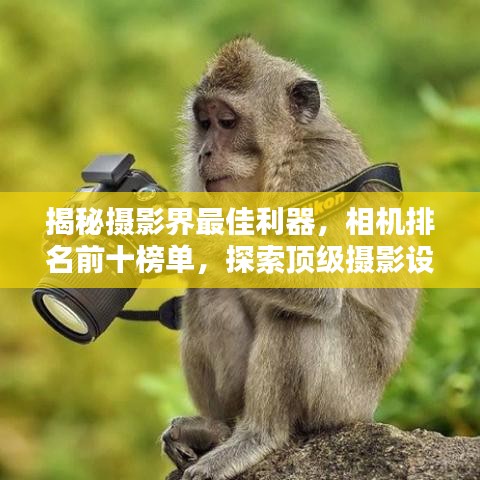 揭秘摄影界最佳利器,相机排名前十榜单,探索顶级摄影设备精选列表!