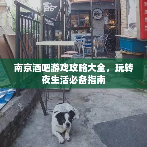 南京酒吧游戏攻略大全,玩转夜生活必备指南