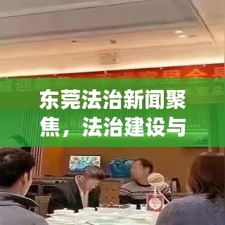 东莞法治新闻聚焦,法治建设与新闻交汇点的深度解读