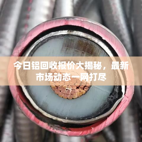 今日铝回收报价大揭秘，最新市场动态一网打尽
