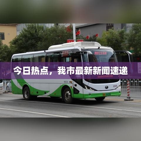 今日热点,我市最新新闻速递