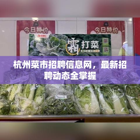 杭州菜市招聘信息网,最新招聘动态全掌握