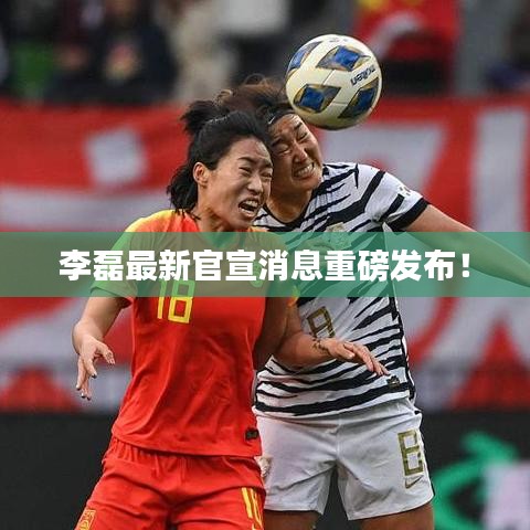 李磊最新官宣消息重磅发布!