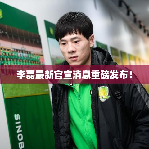 李磊最新官宣消息重磅发布!