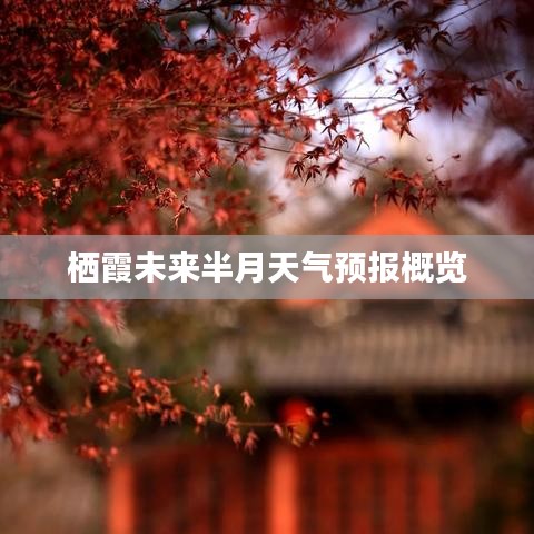 栖霞未来半月天气预报概览